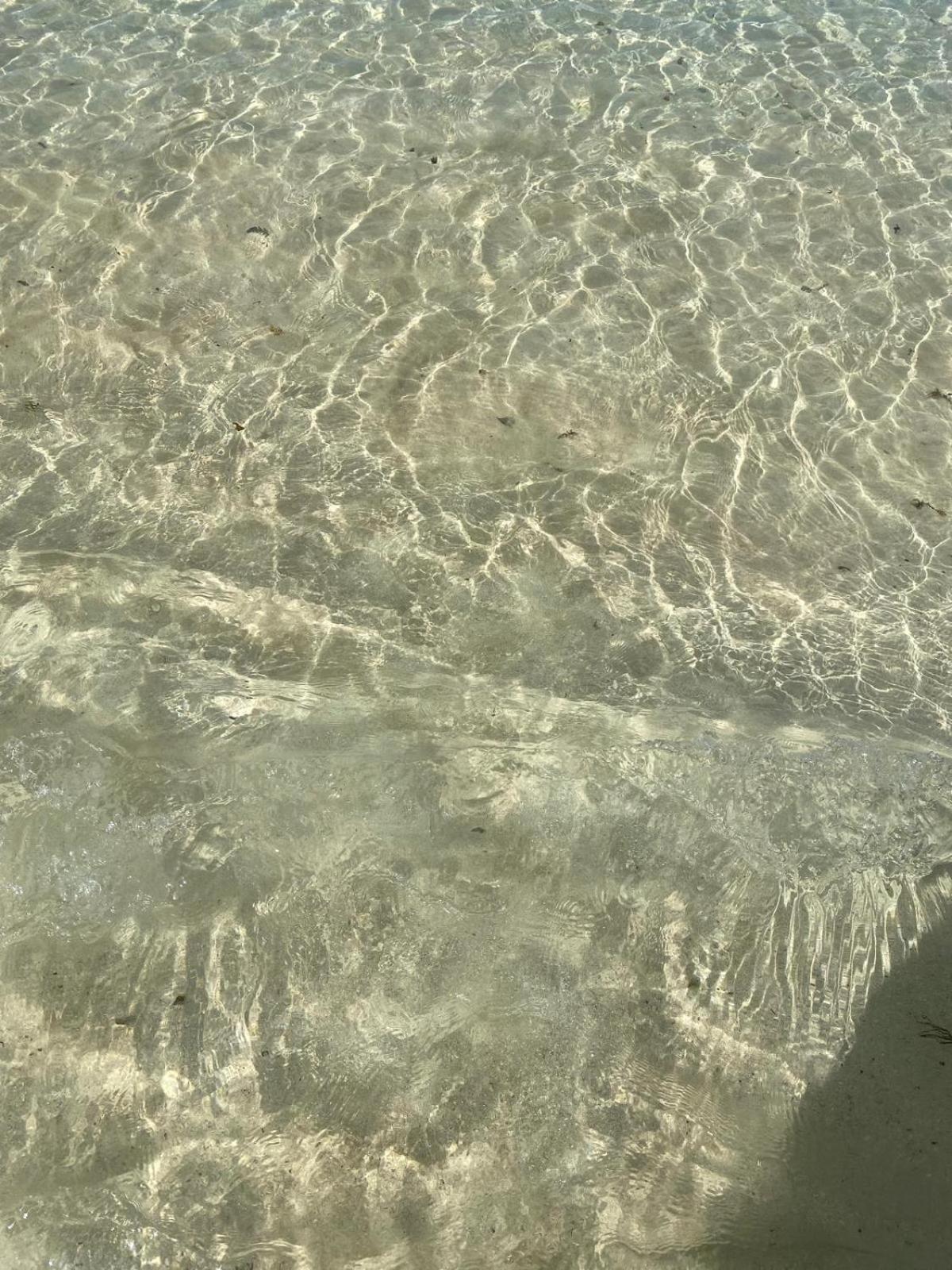 Cotillo Экстерьер фото