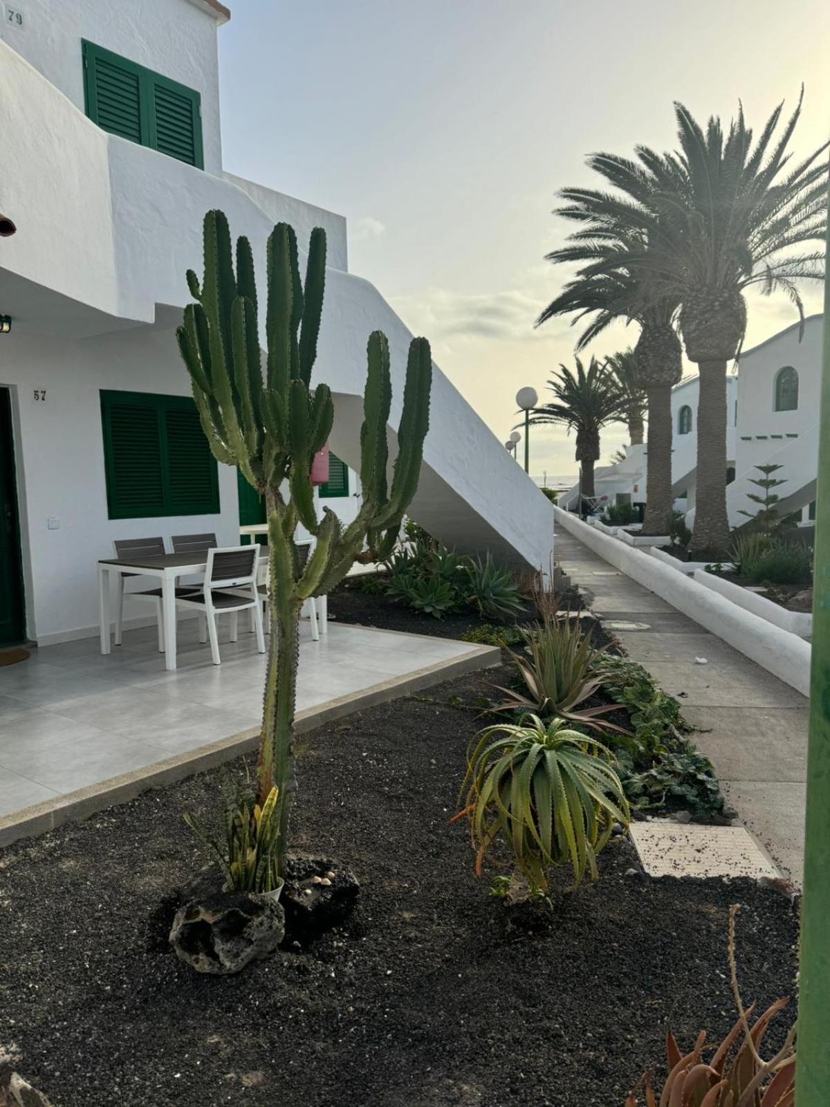 Cotillo Экстерьер фото